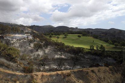 Zona de Elviria tras el incendio forestal declarado ayer tarde en Sierra Negra, en el paraje Cerro Alaminos, dentro del municipio malagueño de Coín.