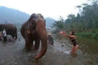 La autora del artículo bañándose con un elefante en Chiang Mai, en Tailandia.