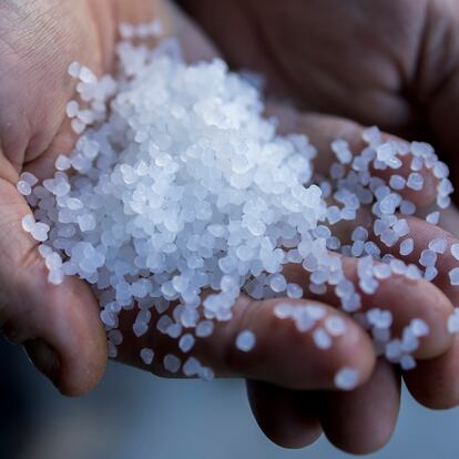 Unas manos sostienen 'pellets' llegados a la playa de O Grove, en Pontevedra.