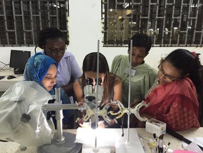 Lucía Godino hace una demostración a varios estudiantes sobe cómo diseccionar el cerebro de una mosca en Tanzania en 2015.