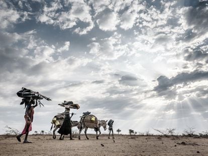 Migración de una familia de Turkana, en el noroeste de Kenia, debido a las fuertes sequías de los últimos años, en septiembre de 2019.