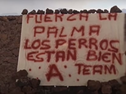 Captura del vídeo donde se muestra la pancarta que anuncia el rescate de los perros