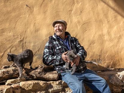Martín Colomer sentado en la puerta de su casa de La Estrella (Teruel) con sus gatos
