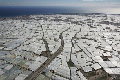 Vista a&eacute;rea de los invernaderos de El Ejido (Almer&iacute;a).