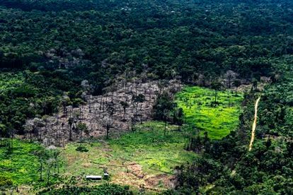El departamento Madre de Dios, al sureste de Perú, vive los efectos de la deforestación por la ampliación agrícola.
