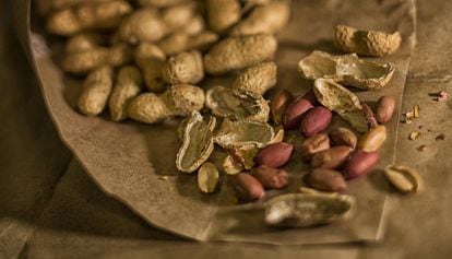Un cucurucho de 'cocovets torrats', cacahuetes tostados.