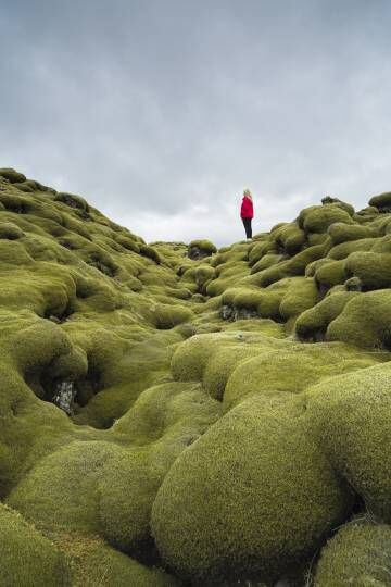 Los campos de lava de Eldhraun, al sur de Islandia.