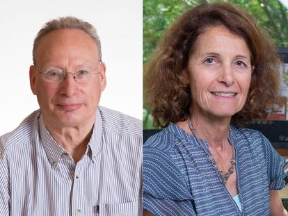 De izquierda a derecha, Sandra Díaz, Mark Westoby y Sandra Lavorel, premio Fronteras del Conocimiento.