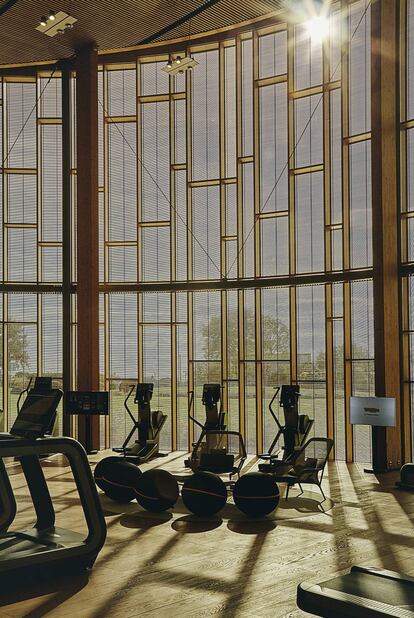 Las oficinas cuentan con un enorme gimnasio para sus empleados.