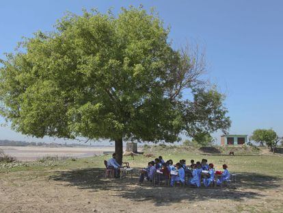 Niños indios estudian a la sombra de un árbol en una escuela dirigida por el Gobierno indio en Jammu.