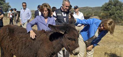 Pla&ntilde;iol y Mari&ntilde;o, durante la visita a la explotaci&oacute;n de Galapagar.