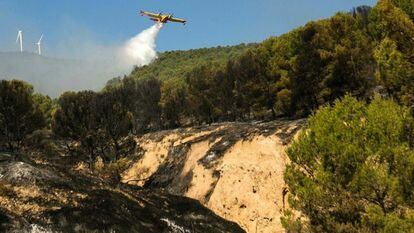 16/08/2022 Imagen de archivo del incendio forestal de Añón del Moncayo (Zaragoza).
SOCIEDAD 
GOBIERNO DE ARAGÓN
