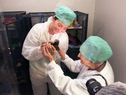May-Britt Moser enseña un ratón a la eminente científica de 96 años Brenda Milner.