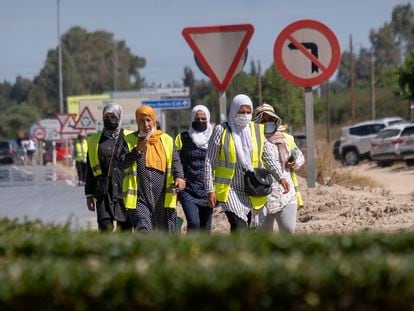 Un grupo de mujeres de origen magrebí caminan junto a la carretera después de terminar su jornada laboral en los invernaderos cercanos a la aldea de El Rocío (Almonte, Huelva).