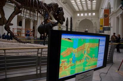 En el museo Field, de Chicago, los visitantes pueden ver en un monitor los pasos seguidos por los científicos para calcular la masa de los dinosaurios.