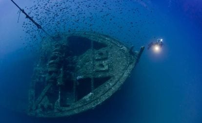 El buceo es una de las actividades más atractivas de la Región: puedes disfrutar tanto de sorprendentes paisajes submarinos como visitar restos de naufragios.