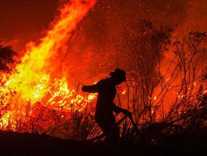 Un hombre extingue un incendio en un bosque en Rambutan (Sumatra). 