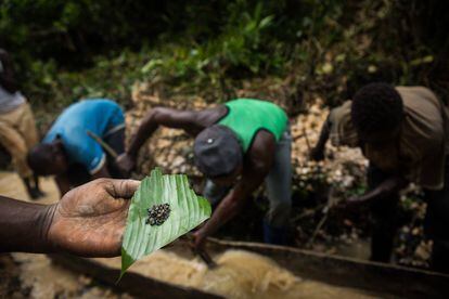 Mineros abriendo una nueva mina. Entre la intensa vegetación de Biambwe, los hombres de Kambale Kihoma, el jefe de mina, han encontrado un nuevo rincón donde sacar coltán.