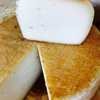 Queso tierno de cabra, pasta prensada. Quesería Lácteas Argudo