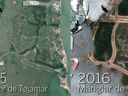 El portavoz de Greenpeace para el manglar, Miguel Rivas, explica la situación actual del humedal.