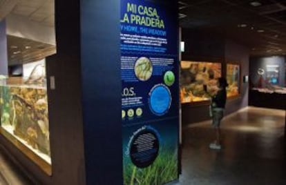 Una de las salas del Acuario de Sevilla.