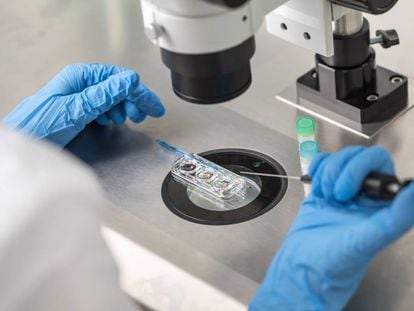 Un laboratorio del Instituto Valenciano de Infertilidad.