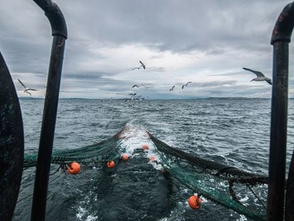 Redes de arrastre de un pesquero en las costas escocesas cerca de Edimburgo.