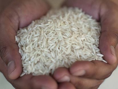 Un arroz no es una an&eacute;cdota, debe tener pretensi&oacute;n de categor&iacute;a para responder a las expectativas.