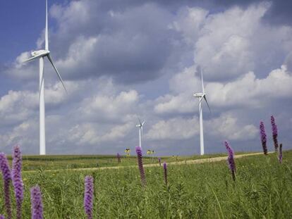 Parque eólico de Iberdrola en Minesota (Estados Unidos)