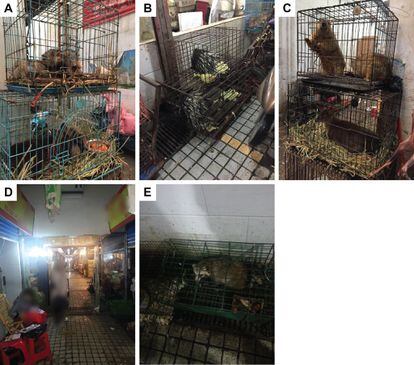 Imágenes del mercado de animales de Huanan publicadas en un estudio científico en 2021.