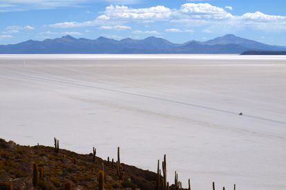 Recorrer la superficie del salar de Uyuni, en Bolivia, es como viajar hacia el infinito aunque existen, eso sí, varias islas en este océano blanco y sólido, como la de Inkawuasi, cubierta casi en su totalidad por cactus milenarios.