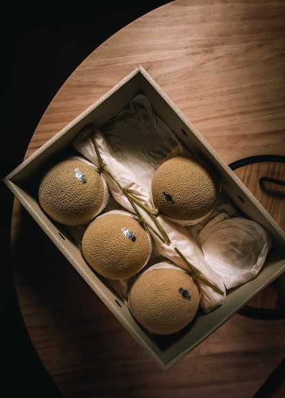 Crown Melon, la variedad de melón más exclusiva, cuyo precio alcanza los 200 euros por pieza.
