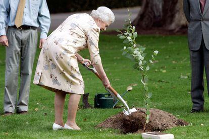 Plantando un árbol de eucalipto en Australia (2006).