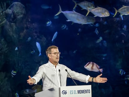 Feijoo PP