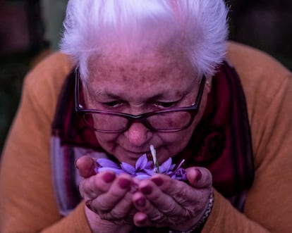 María Jiménez huele flores de azafrán en su casa de Munera (Albacete).