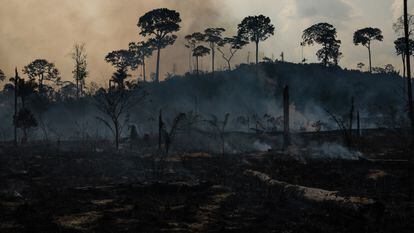 Nova Fronteira, zona amazónica del Norte de Brasil, tras un incendio en septiembre de 2022.