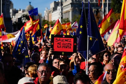 Un manifestante sujeta un cartel con el lema "Sánchez, me gusta la fruta", este sábado en Madrid.