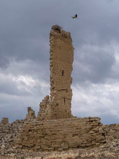 An image of the medieval castle of Santia, in Erla (Zaragoza).