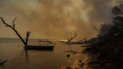 Desde 2020, todo el delta del Paraná ha sido devastado por el fuego.