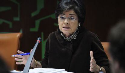 Belén Greaves, en una comparecencia en el Parlamento vasco. 