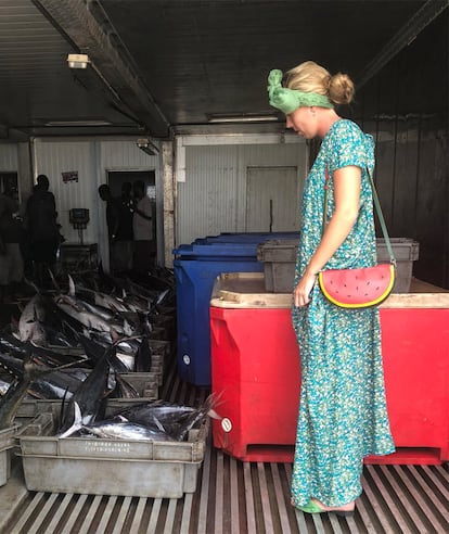 Viajes para salvar los océanos.

Por su trabajo, Carrie Symonds ha visitado varios países para conocer in situ la situación de emergencia que vive la fauna marina debido a la contaminación de los mares y océanos.