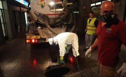 T&eacute;cnicos lanzando agua en los sumideros de las calles de Tarragona para erradicar la plaga de cucarachas.