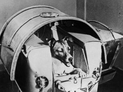 Se cumplen 60 años del lanzamiento del primer ser vivo al espacio exterior, un acontecimiento respondido por Kennedy con el envío del primer hombre a la Luna