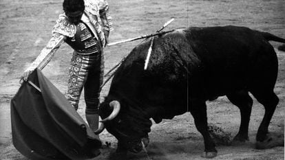 Paco Camino, en una actuación del año 1975.