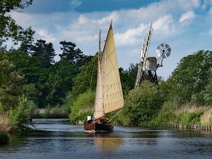 Un velero navega por el río Ant, en el parque natural The Broads, en el condado de Norfolk (Reino Unido).