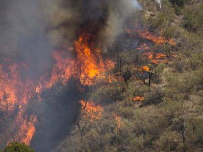 Incendios intencionados em EL PAÍS Brasil