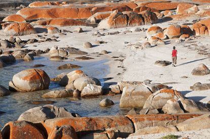 Bahía de granitos a lo largo de toda la playa de Granites Bay, en la península de Eyre.