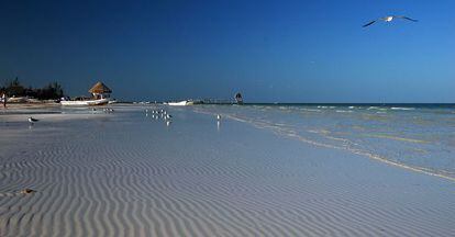 Las costas de la isla de Holbox.