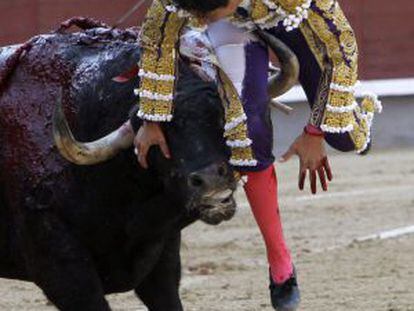 El diestro Sergio Flores, durante el pinchazo que sufri&oacute; al entrar a matar a su primero, en la tercera corrida de la Feria del Arte y la Cultura.