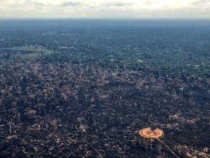 Tierra quemada en la Amazonia de Colombia, en una imagen de febrero de este año.